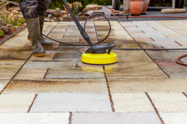 Best Animal Enclosure Cleaning  in Ponce Inlet, FL